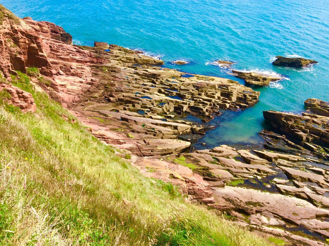 null-Arbroath