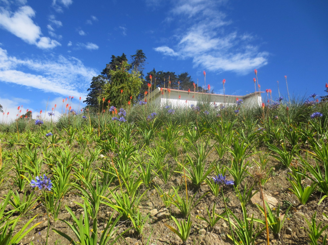 Hotel Pinares del Carrizalito主图