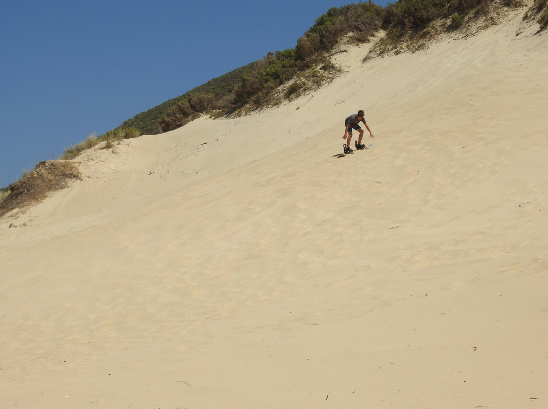 Dune Adventures-Brenton-on-Sea必去景点