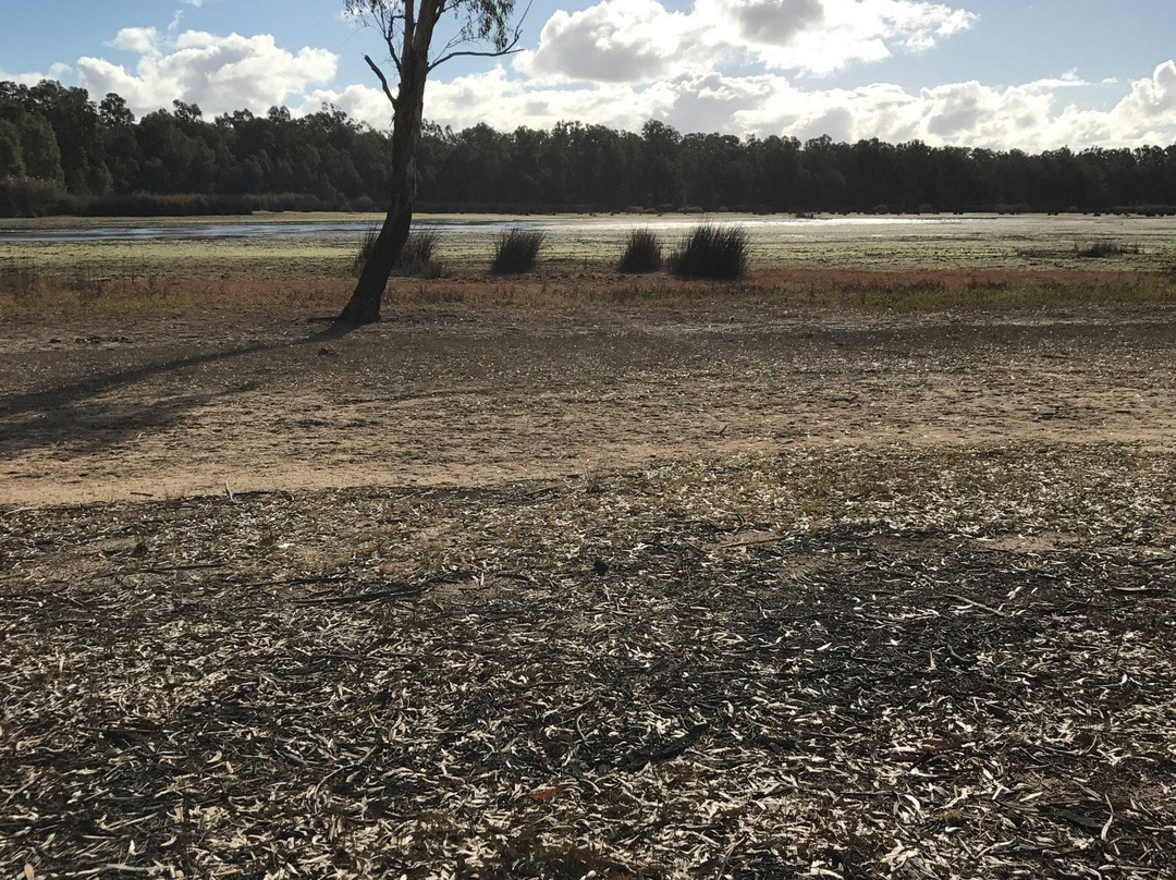 Barmah National Park-Barmah必去景点