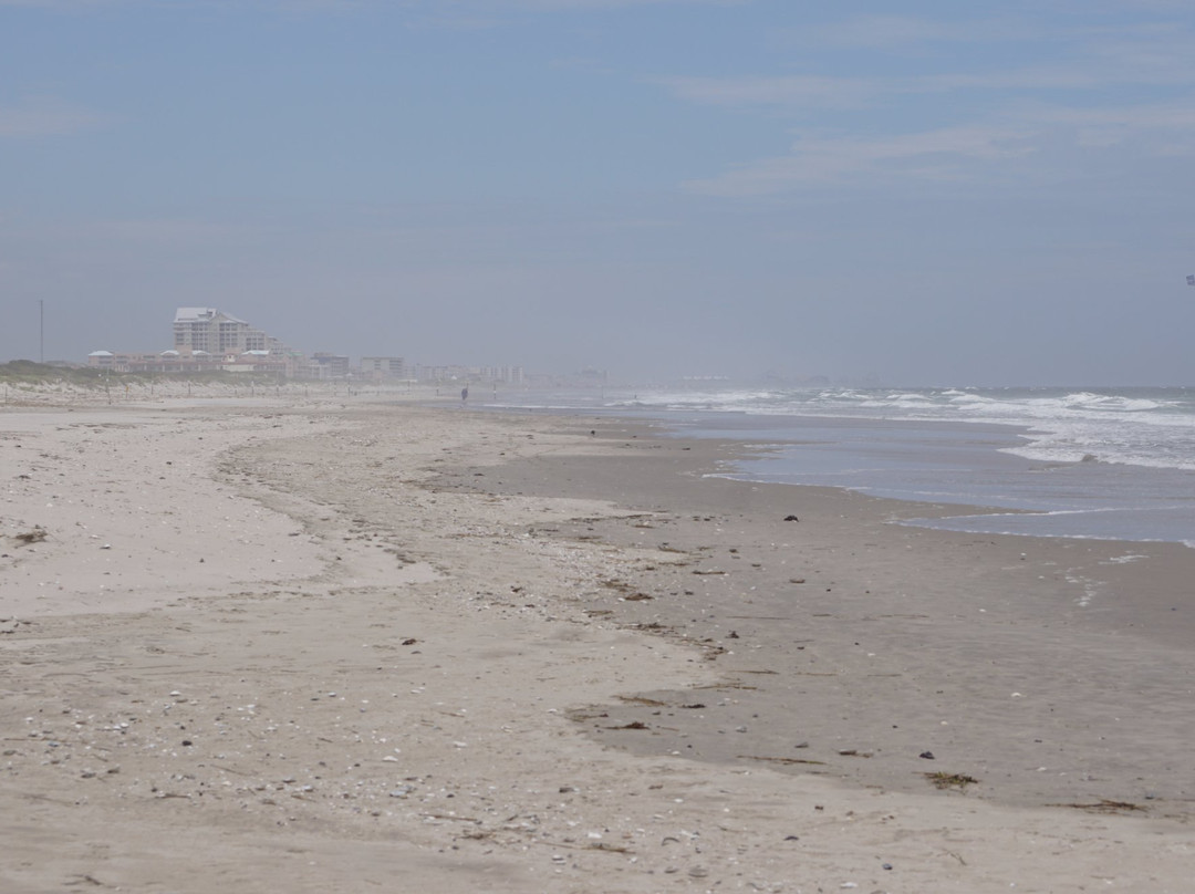 Cape May National Wildlife Refuge-开普梅考特豪斯必去景点
