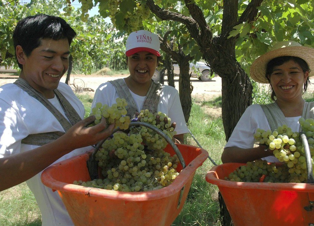 Bodega La Riojana Coop-Chilecito必去景点