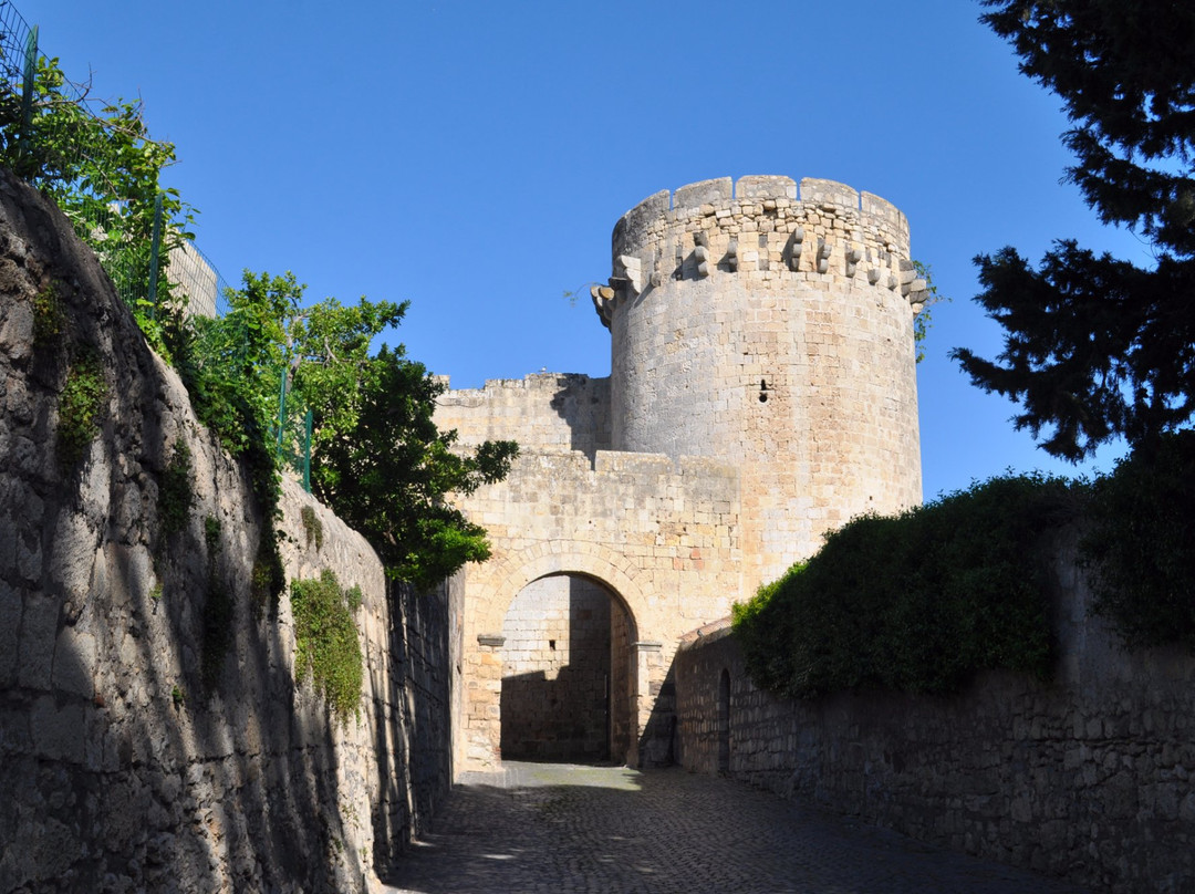 Porta di Castello e Torrione detto di Matilde di Canossa景点图片