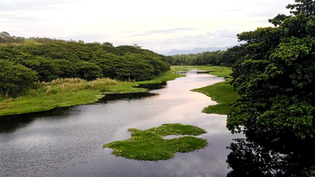 Chittur旅游攻略图片