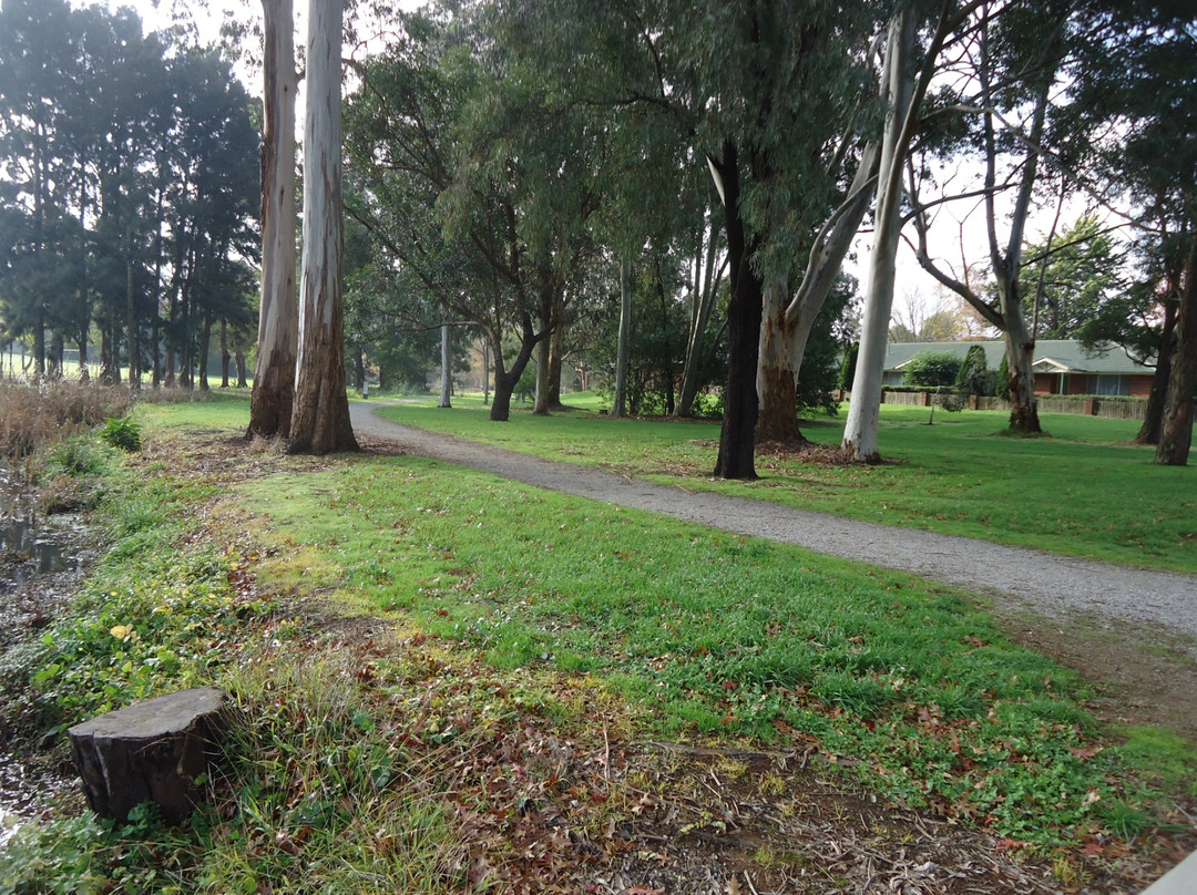 Rotary Park-沃拉格尔必去景点