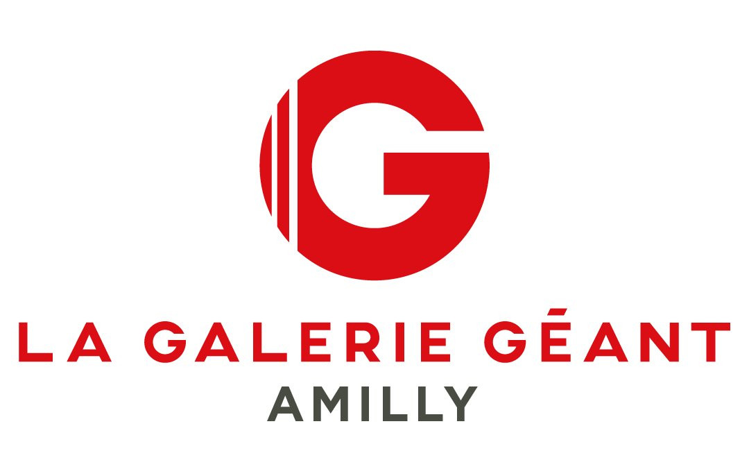 La Galerie Geant - Amilly景点图片
