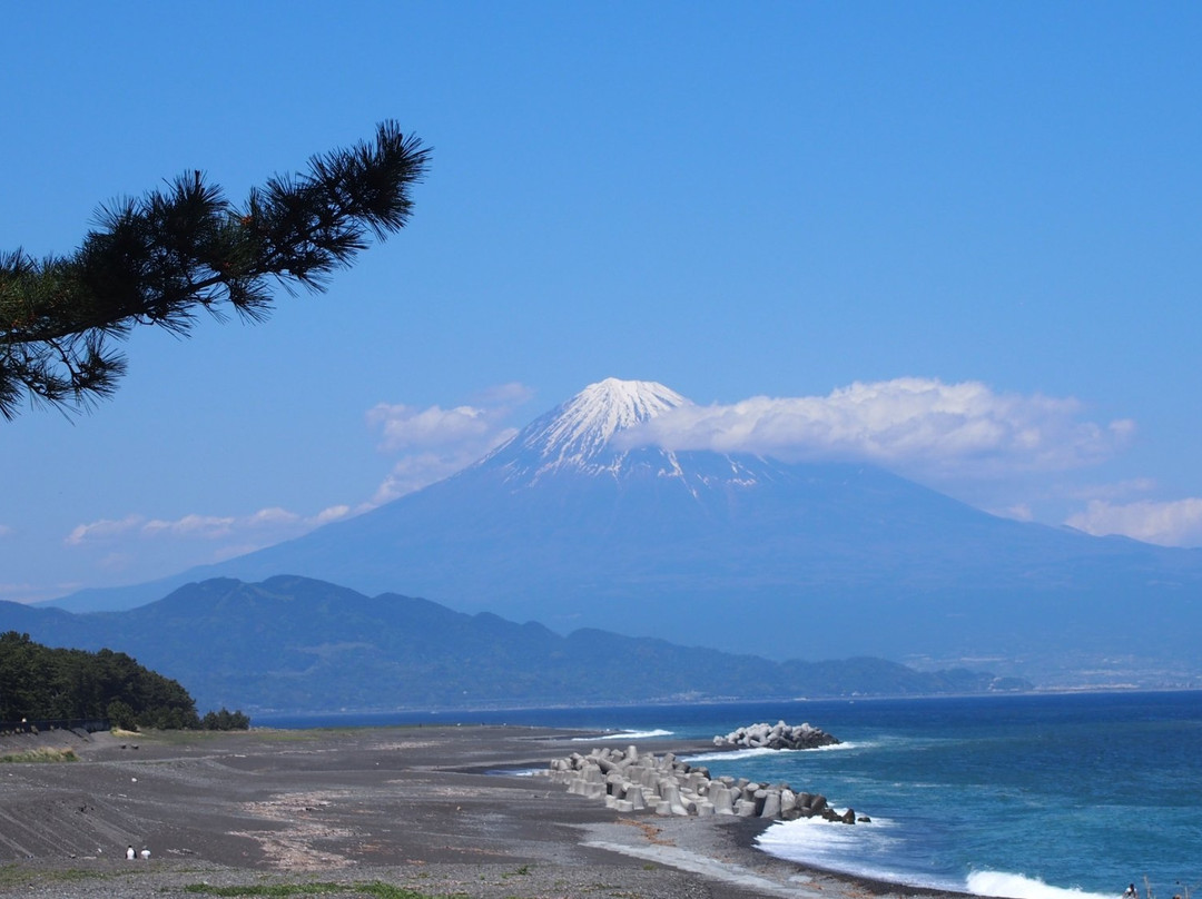 三保海岸（三保之松原海滩）景点图片