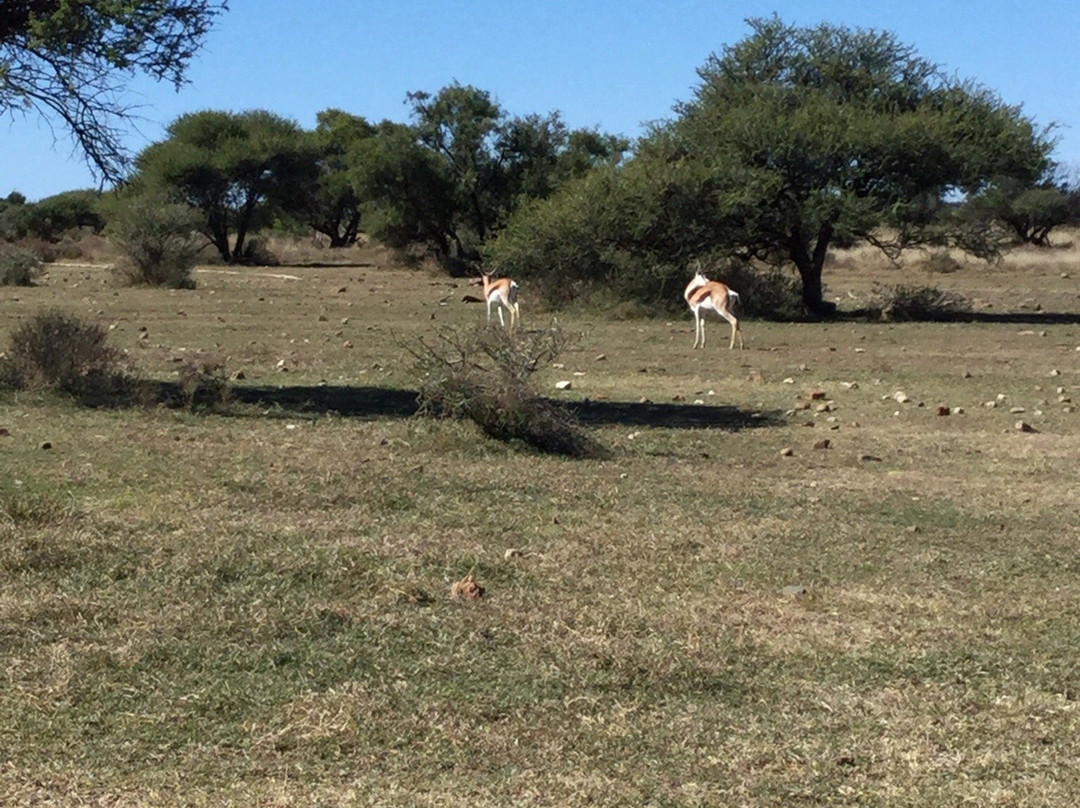 Mafikeng Game Reserve-玛费根必去景点