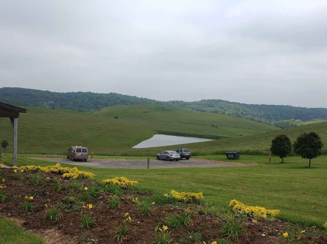Yellow Butterfly Winery景点图片