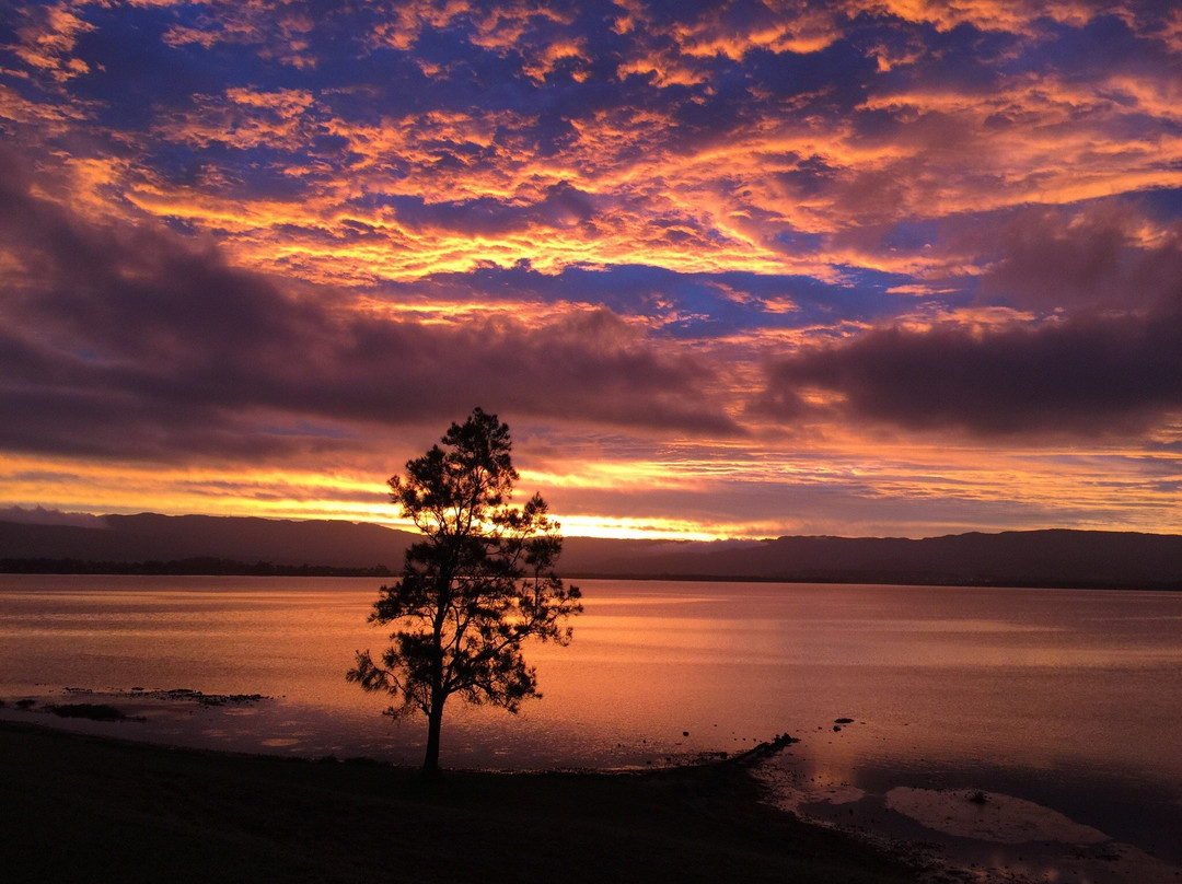 Lake Illawarra景点图片