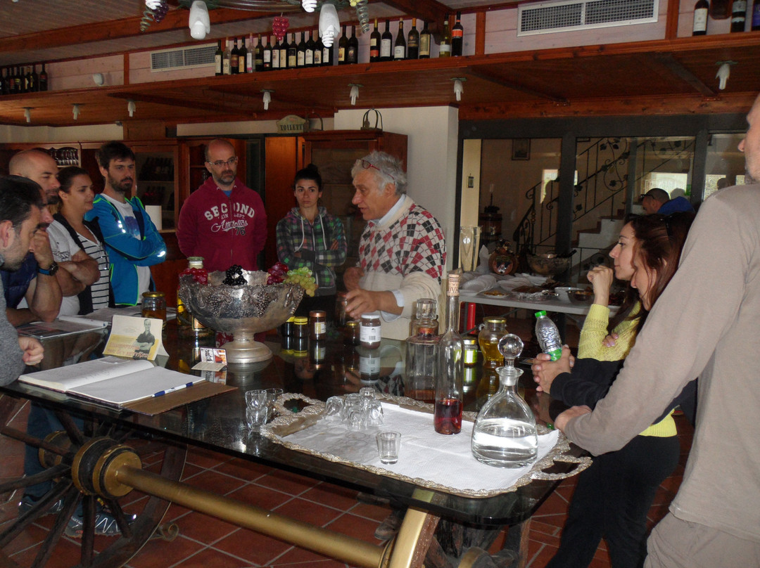 Wine Museum Tzivani-Khalkis必去景点