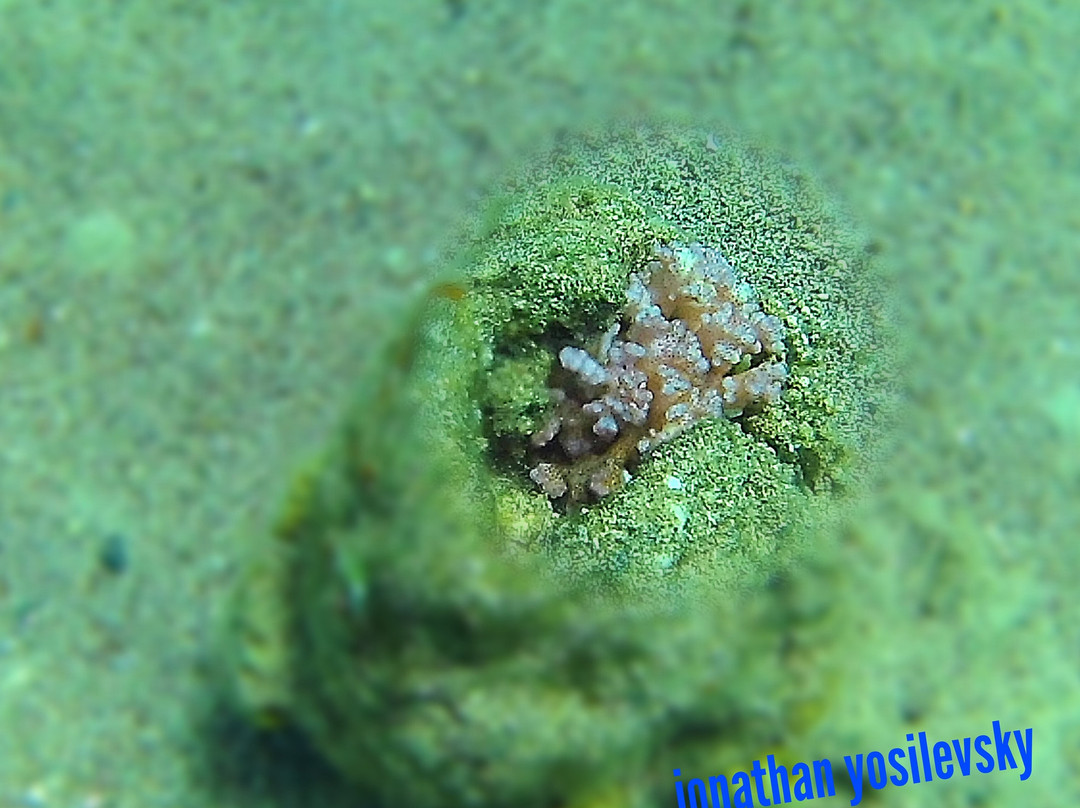 Aqua Beach-埃拉特必去景点