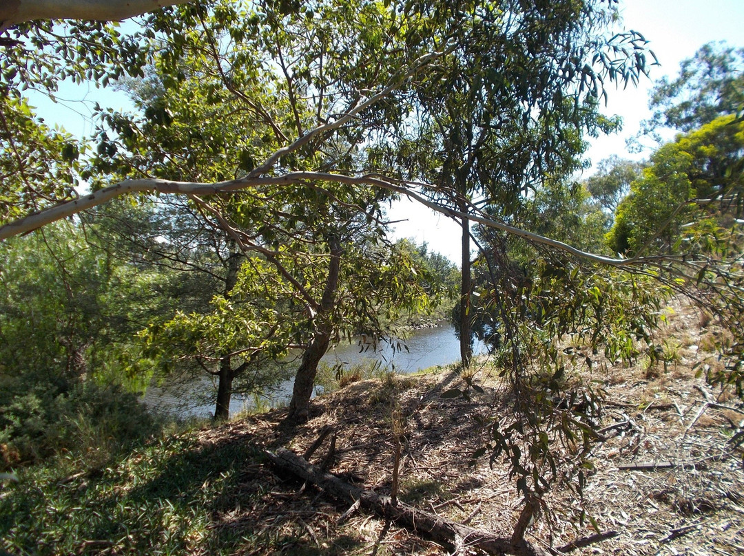 Herring Island Park景点图片