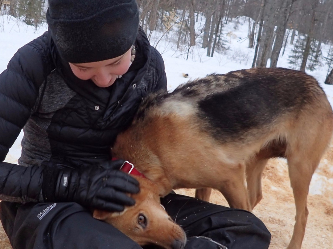 Snow Forest Adventures-阿冈昆公园必去景点