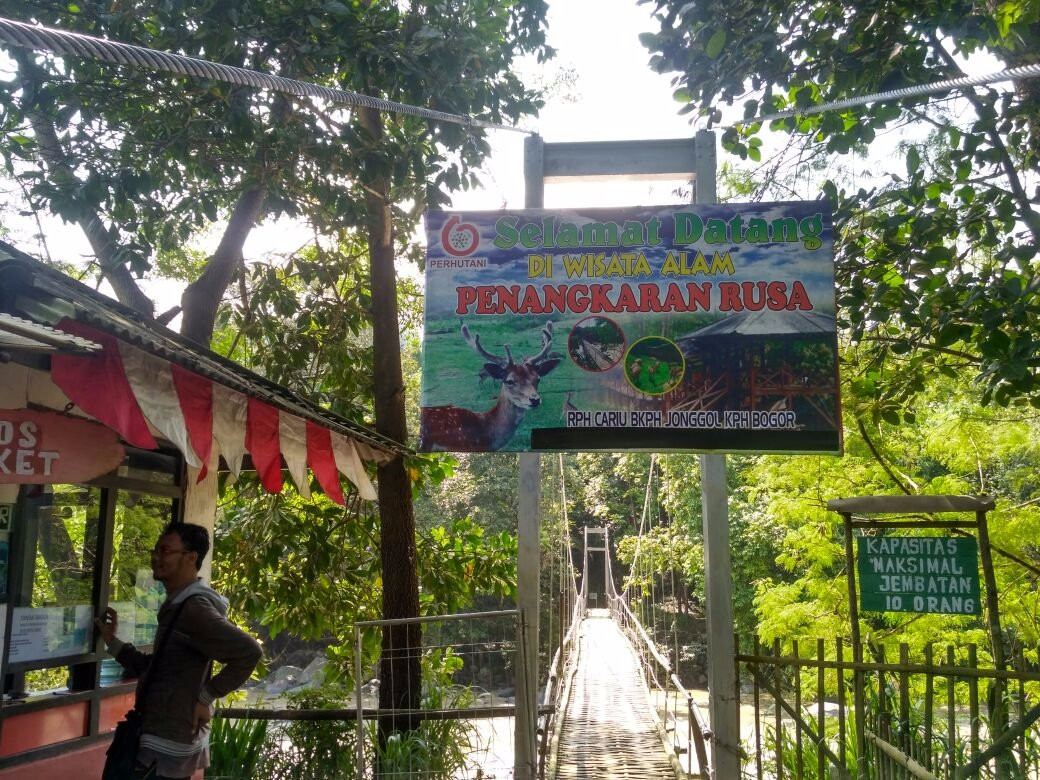 Penangkaran Rusa Cariu-茂物必去景点