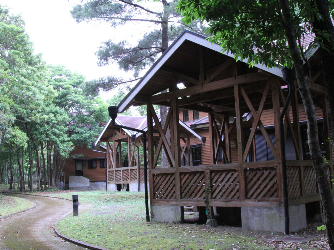 Amami Forest Police景点图片
