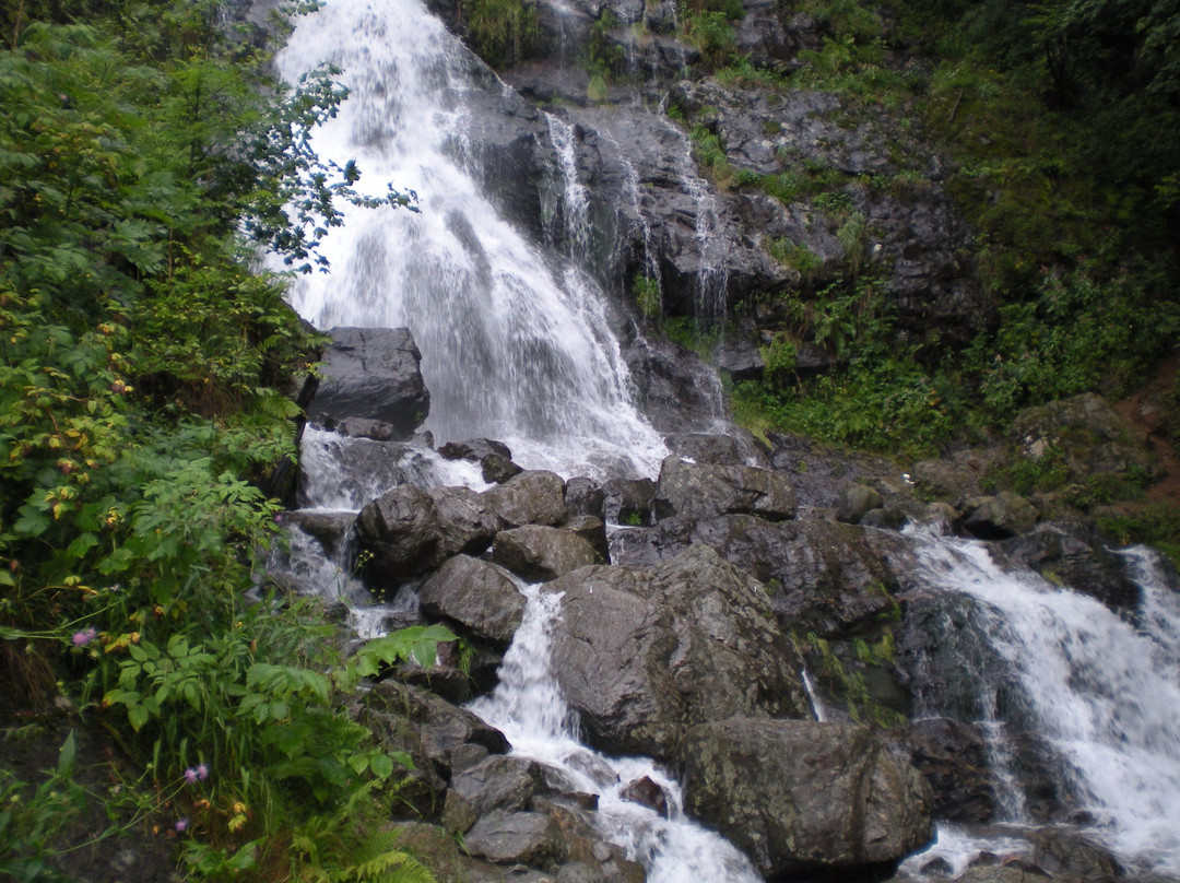 Todtnau Waterfalls景点图片