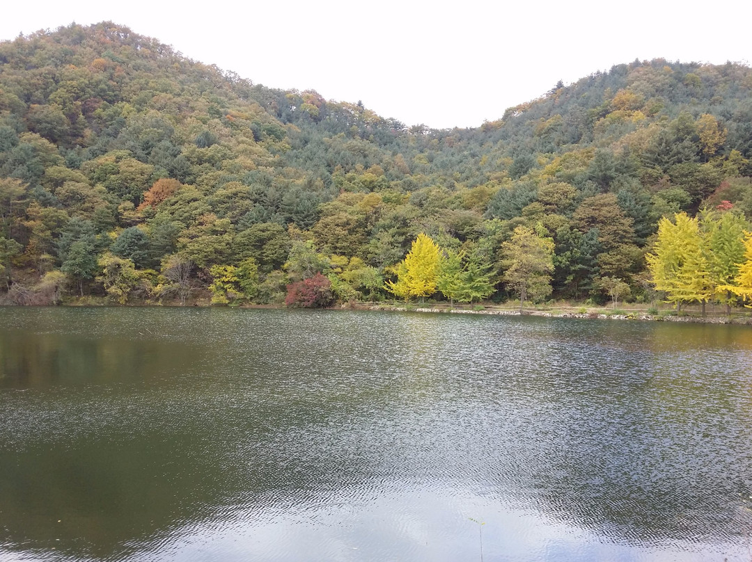 Cheongpyeong Lake-加平郡必去景点