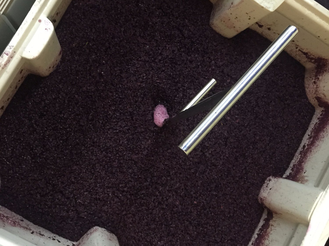 Palouse Winery-Vashon必去景点