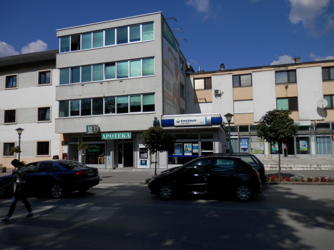 Kula Zmaja od Bosne Gradačac景点图片