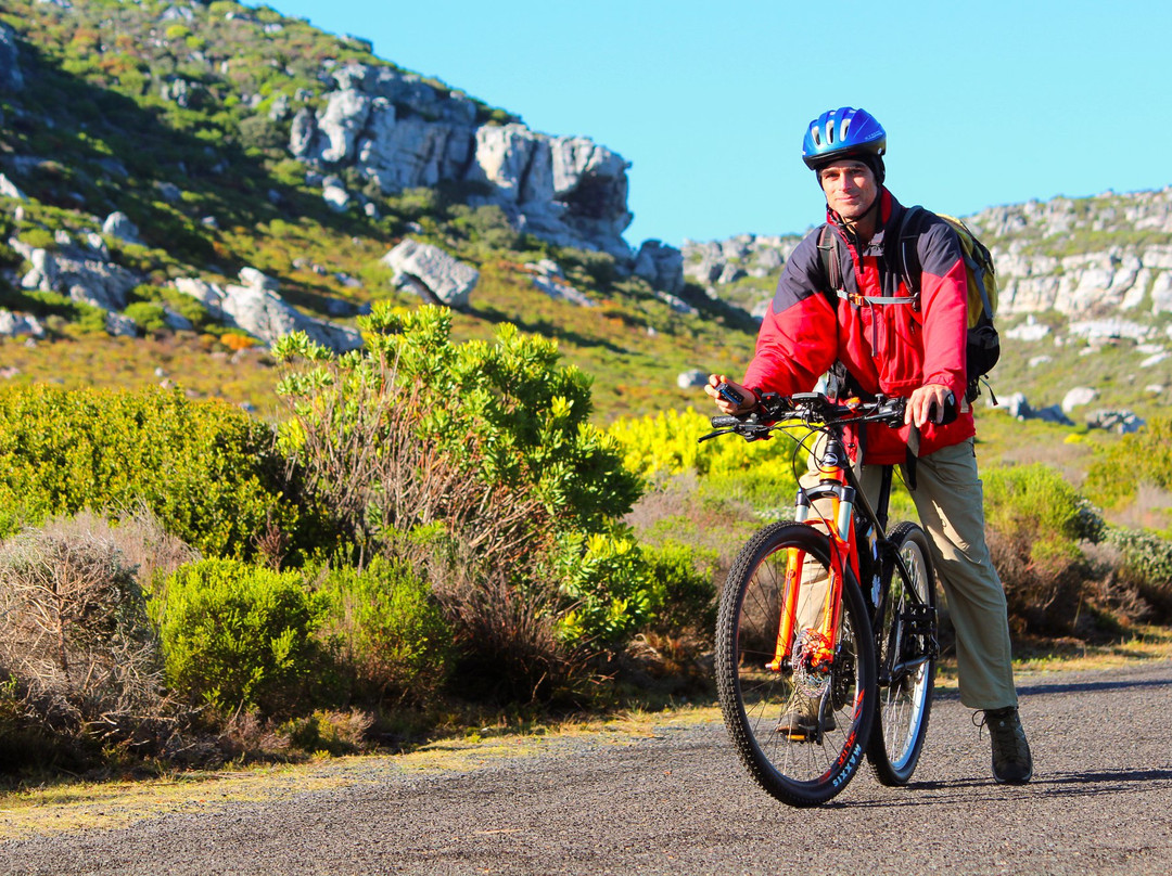 Venture South-开普敦必去景点