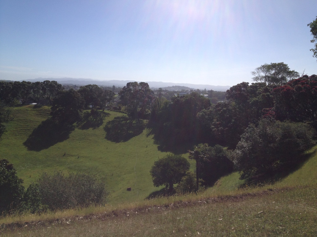 Mt St John Domain-埃普索姆必去景点