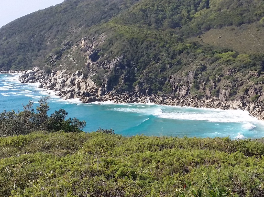 Trial Bay Gaol Campground