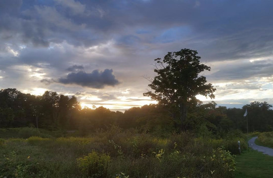 Hudson Highlands Nature Museum-康沃尔必去景点