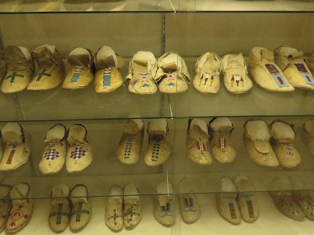 Yellowstone County Museum景点图片
