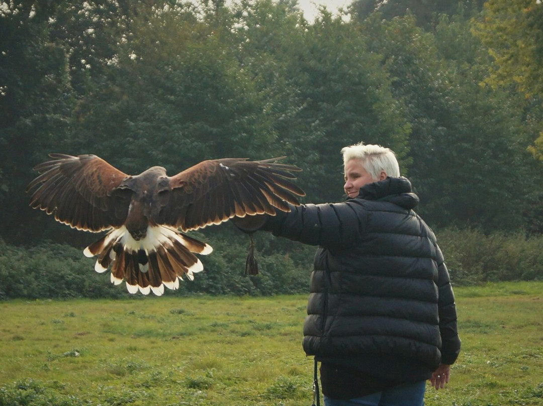 Frechen旅游攻略图片