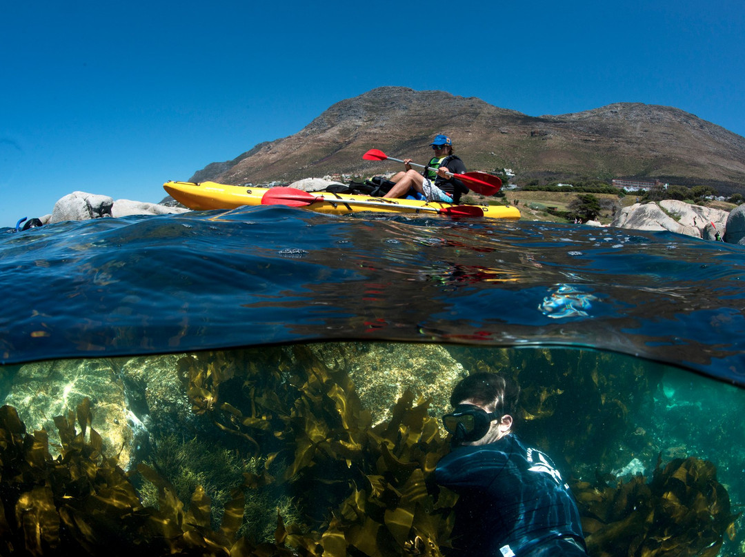 Shark Warrior Adventures-西门镇必去景点