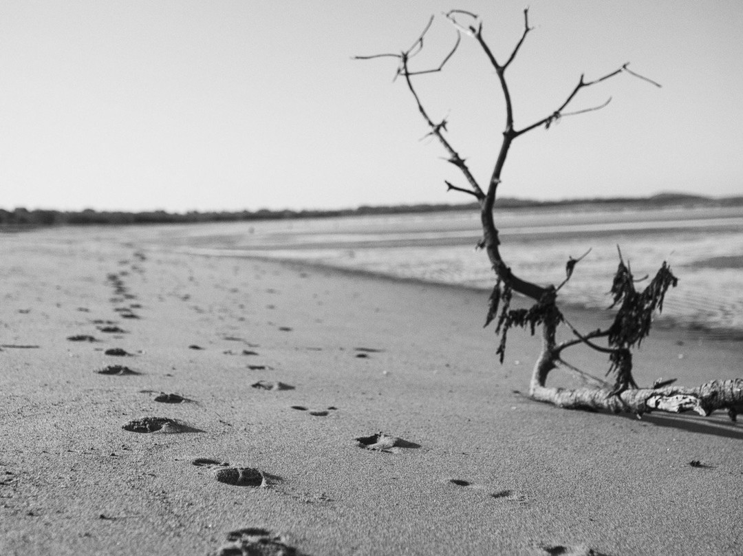 Bucasia Beach景点图片