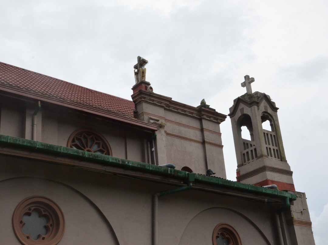 St Francis Xavier's church-奴娃拉伊利雅必去景点