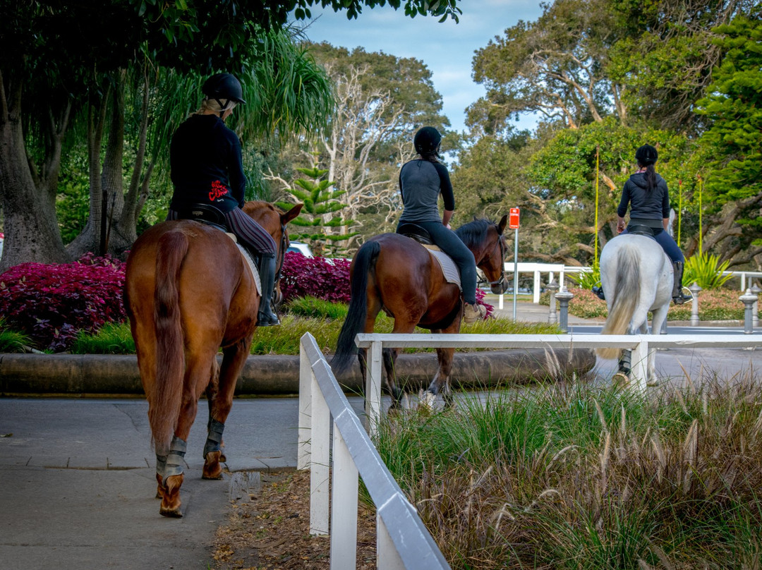 Papillon Riding Stables-悉尼必去景点