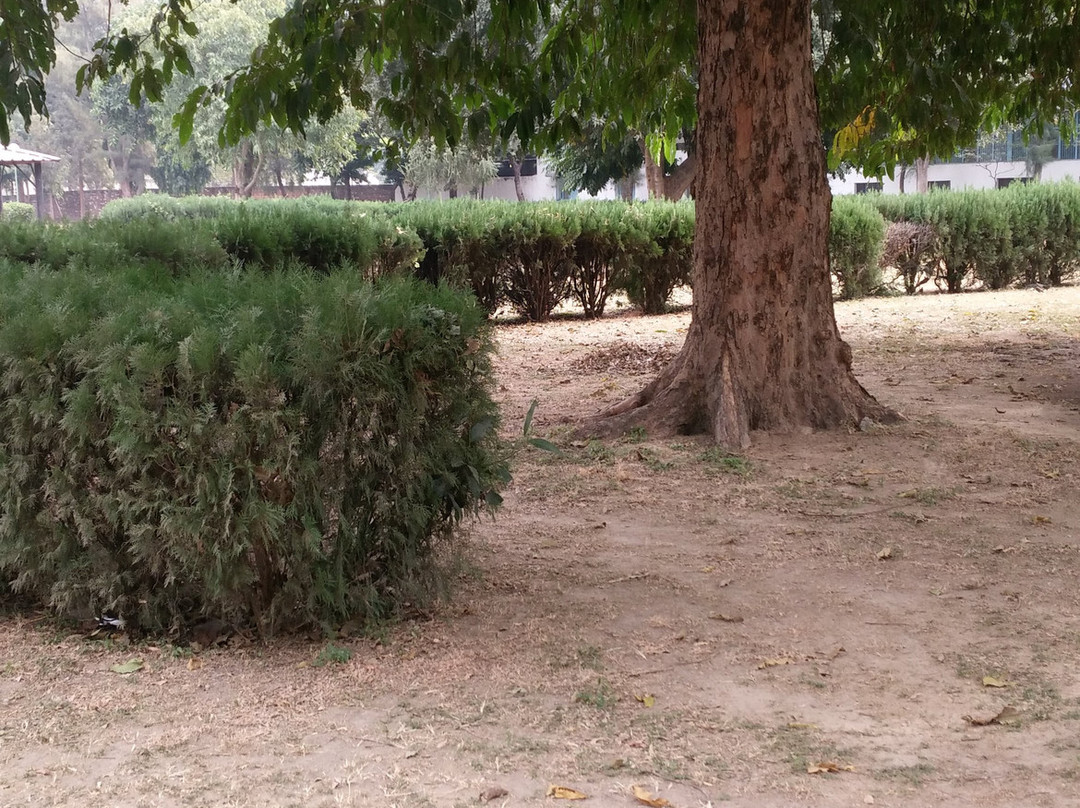 Topiary Park-昌迪加必去景点