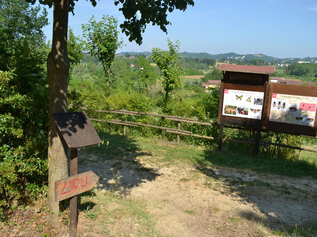 Centro Lipu-Tigliole必去景点