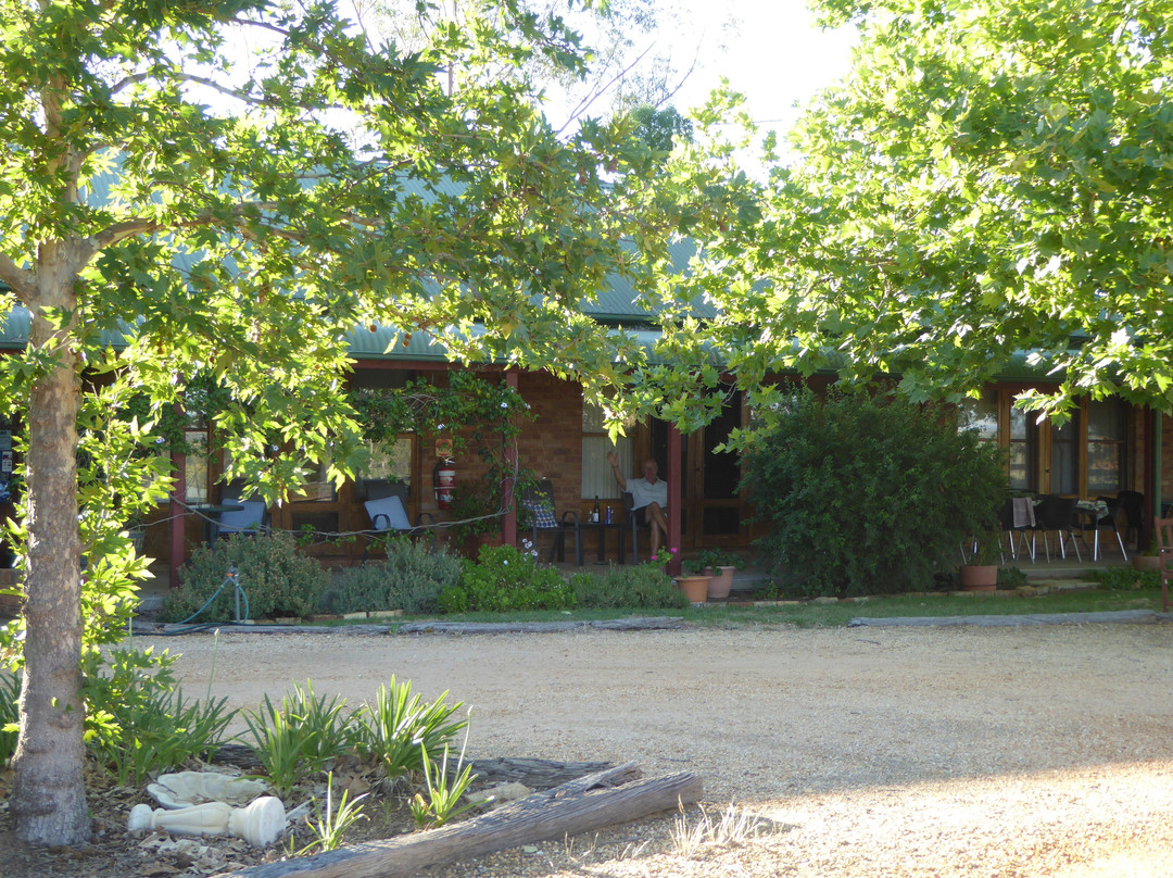 葡萄园汽车旅馆主图