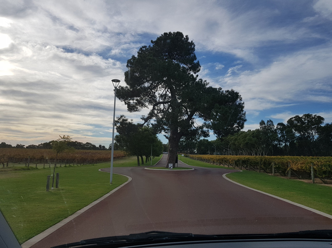 Libertino Travel - Private Tours-珀斯必去景点