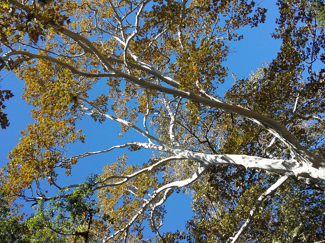 Parque Los Berros-哈拉帕必去景点