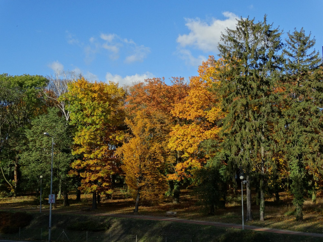 Park Siemiradzkiego景点图片