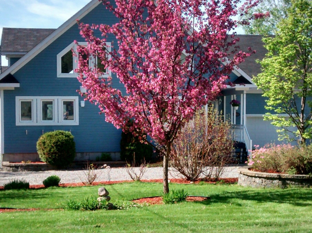 L'Anse-Saint-Jean酒店住宿-Gite B&B La Montagne Urbaine