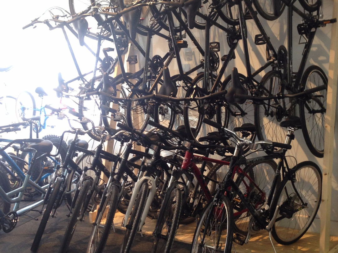 Malletts Bay Bicycle & Ski-Colchester必去景点