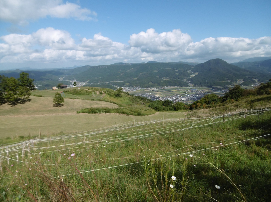 Mt. Kirikabu Park景点图片