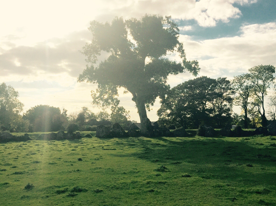 Grange Stone Circle-Bruff必去景点