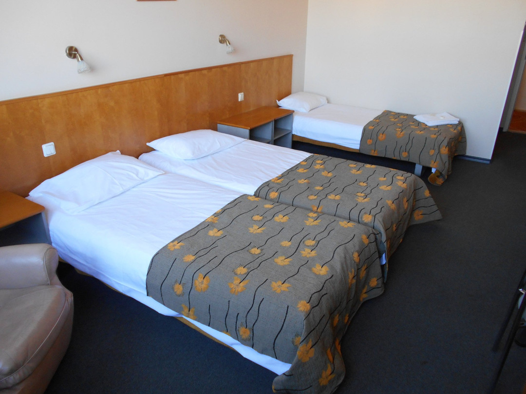 Hotell Centrum Viljandi OÜ主图