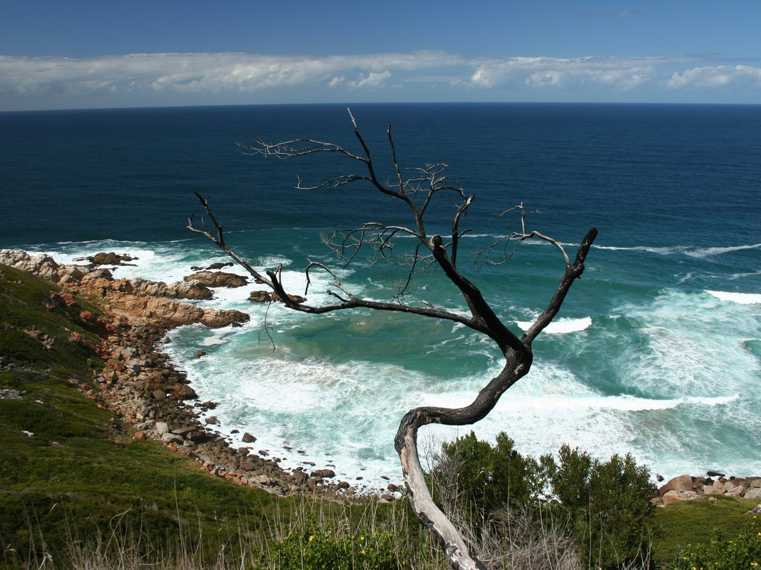 Oystercatcher Trail-莫塞尔贝必去景点