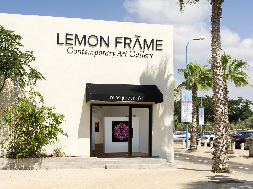Lemon Frame Gallery景点图片