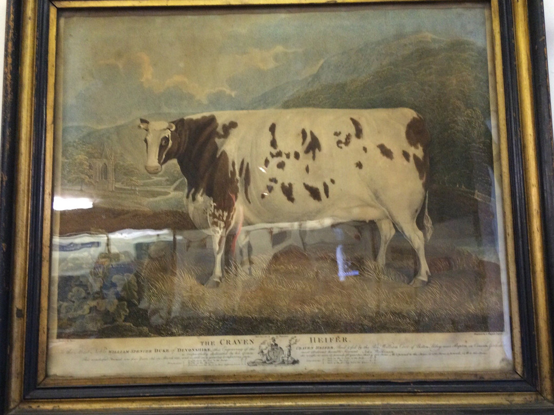 Craven Museum & Gallery景点图片
