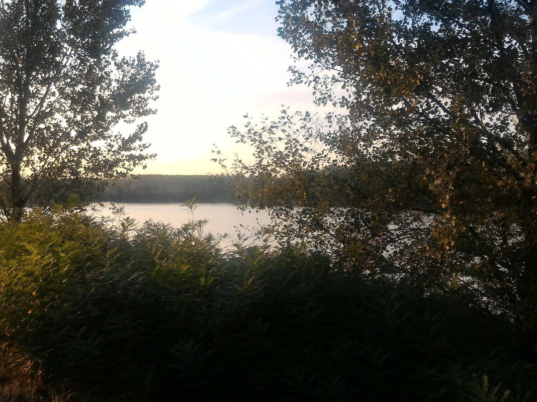 Lago Enza Morta景点图片