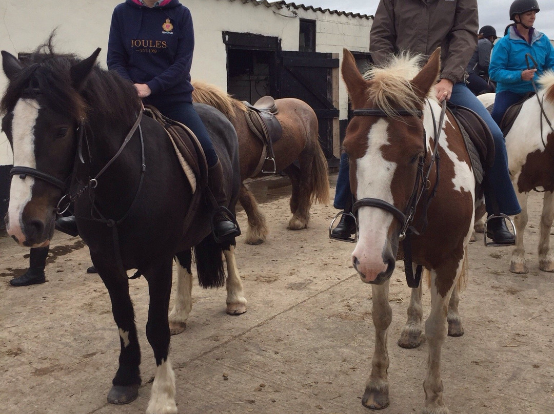 Saltburn Riding School-Saltburn-by-the-Sea必去景点